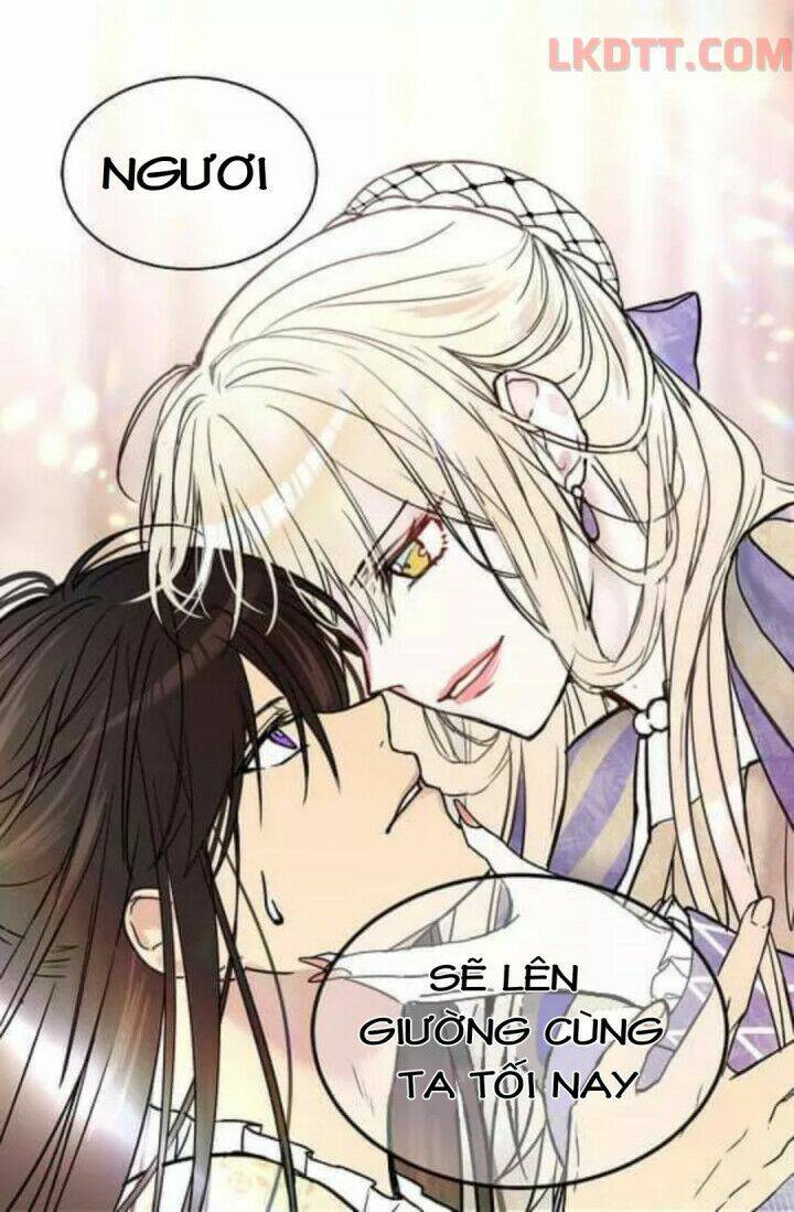 Mylord, Nữ Hoàng Của Loài Sói!: Chapter 6