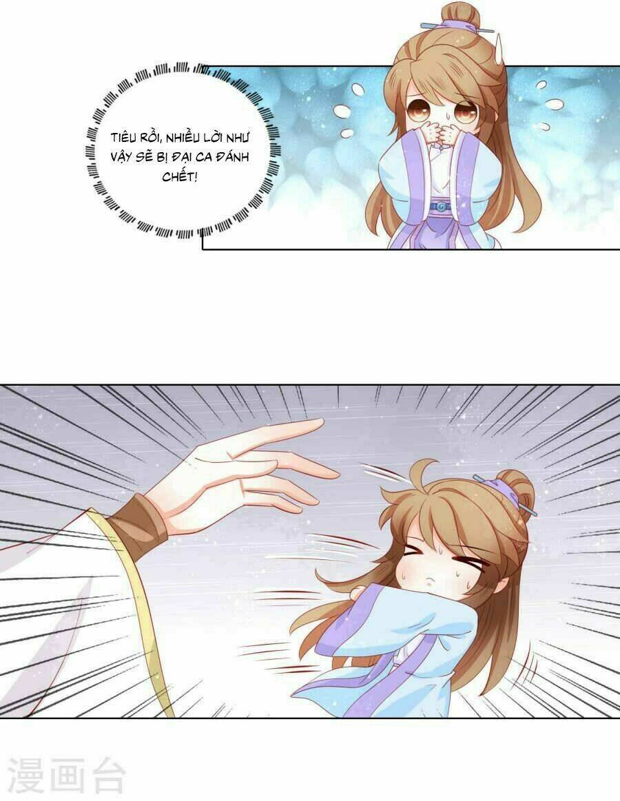 Nam Phi Nữ Tướng: Chapter 45