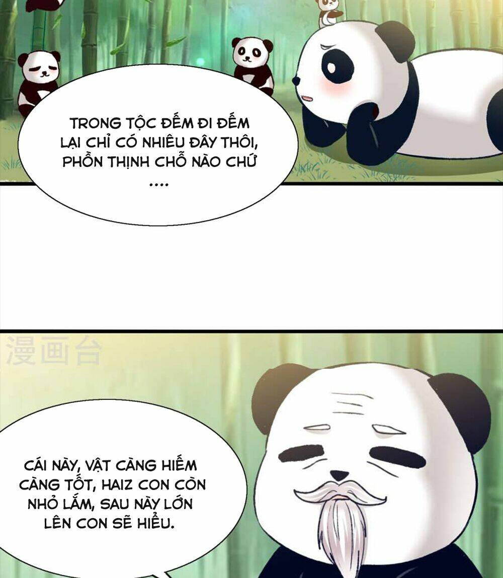 Tôi Bị Gấu Trúc Nhìn Trúng Rồi: Chapter 9