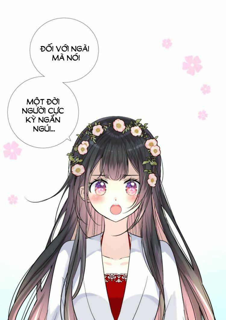 Sao Lại Là Yêu?: Chapter 39