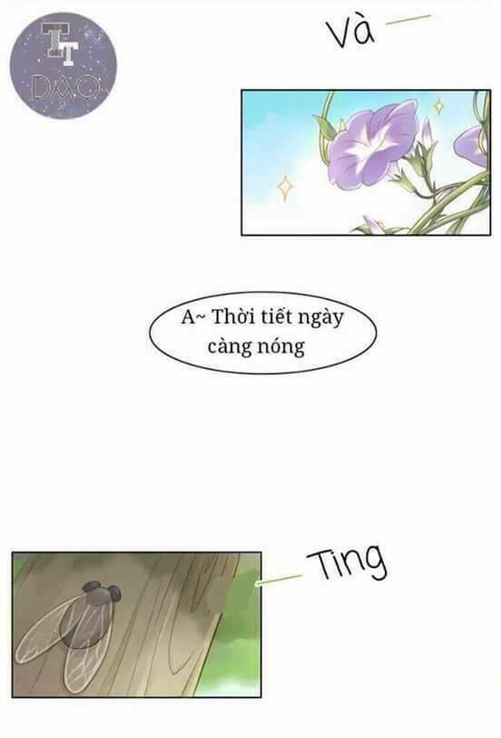 Dưới Móng Vuốt Mèo: Chapter 3