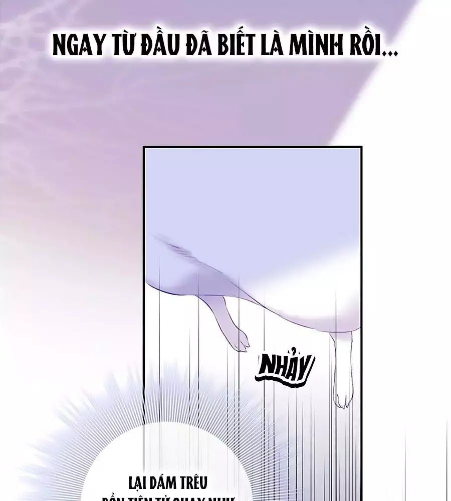 Kiều Nhi Hư Quá Nha: Chapter 8