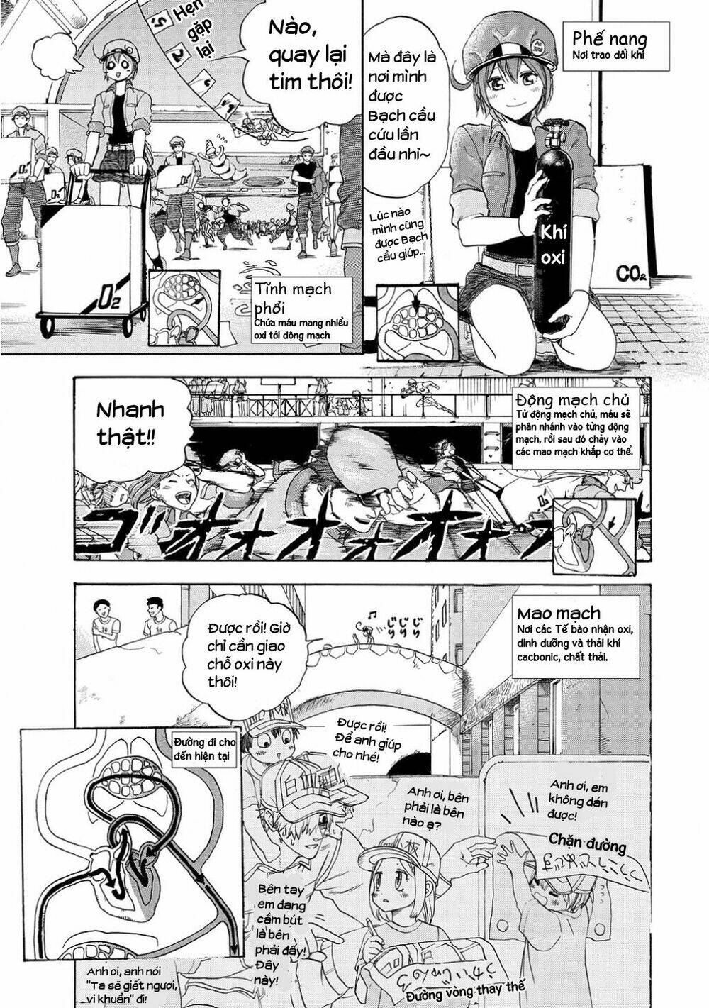 Hataraku Saibou!: Chapter 10