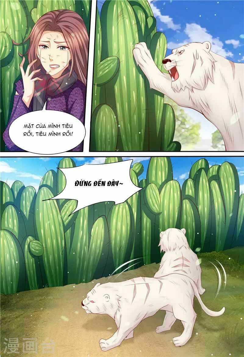 Cưng Chiều Vợ Yêu: Chapter 197