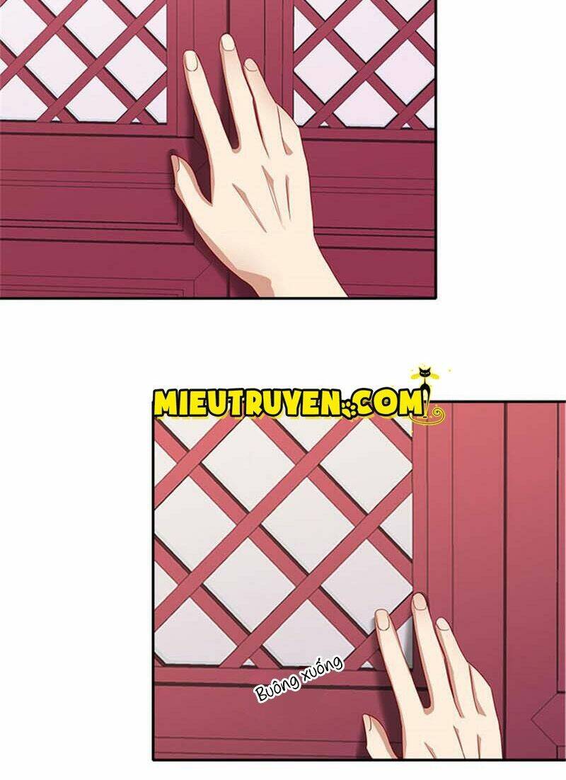 Tận Diệt Vương Gia Mãn Triều: Chapter 53