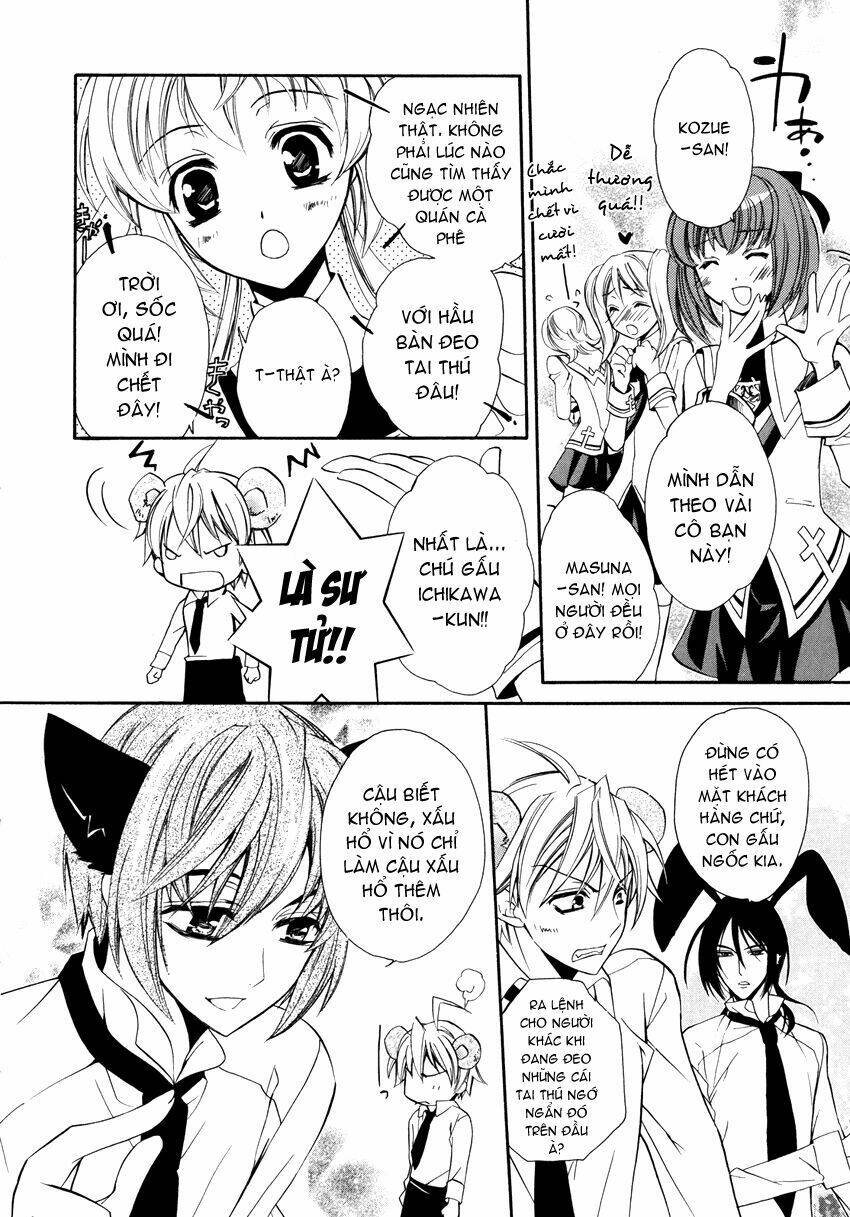 S.L.H (Stray Love Hearts): Chapter 4