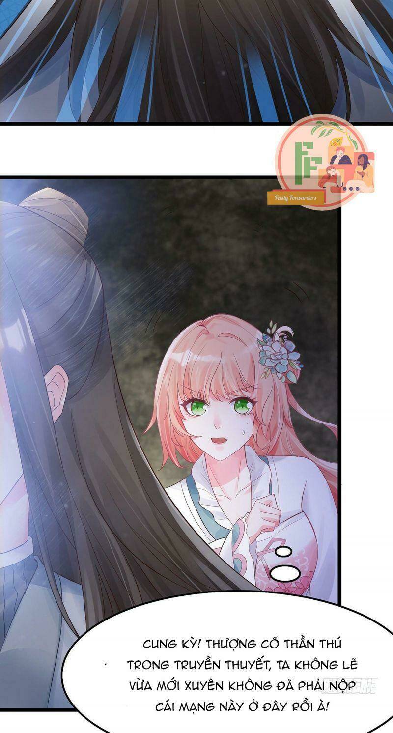 Đặc Công Cuồng Phi: Tuyệt Thế Tu Chân: Chapter 3