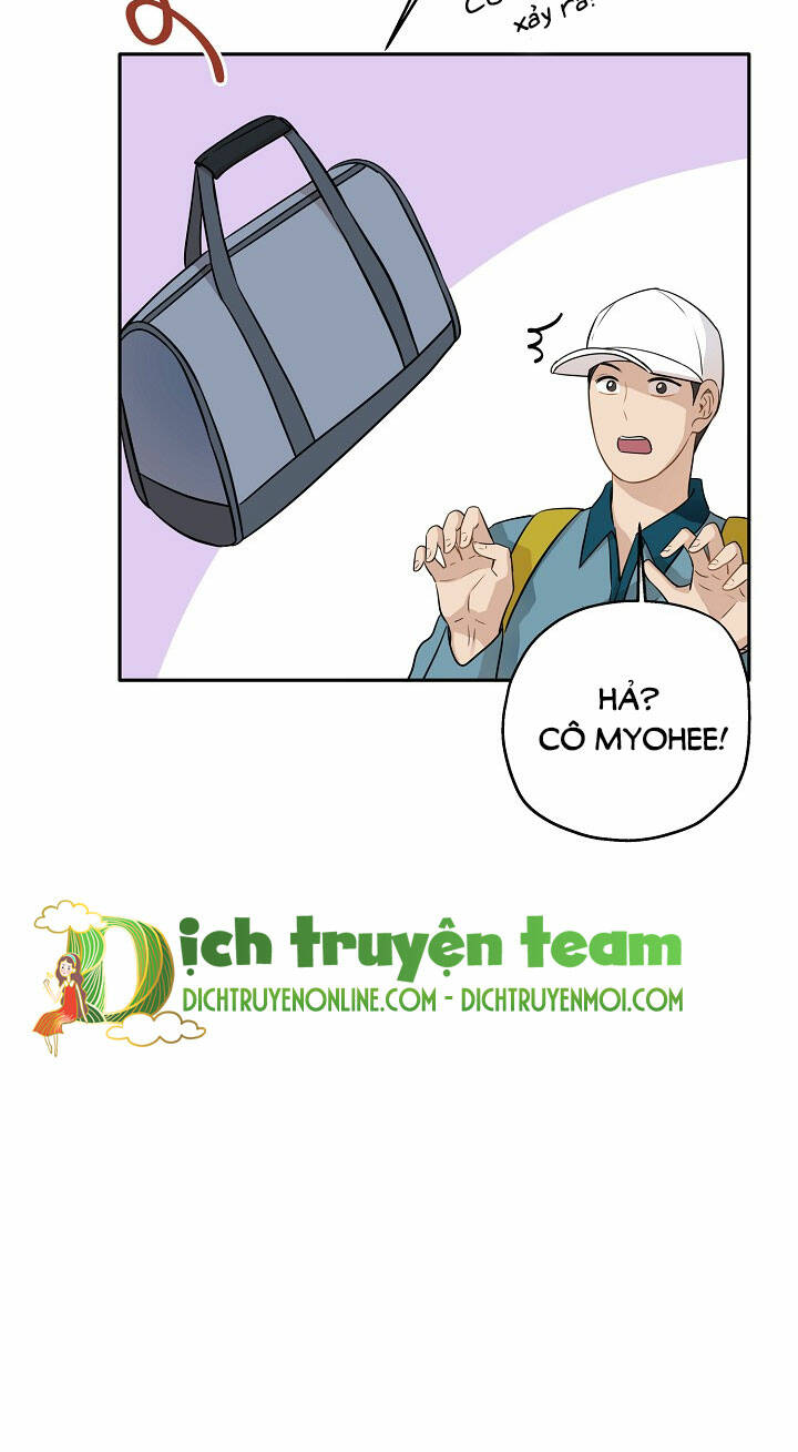 Cuộc Sống Kỳ Thú: Chapter 95