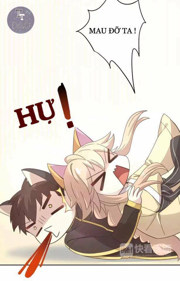 Dưới Móng Vuốt Mèo: Chapter 19