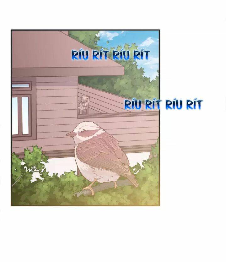 Vương Tử Thành Phố Và Công Chúa Amazon: Chapter 24