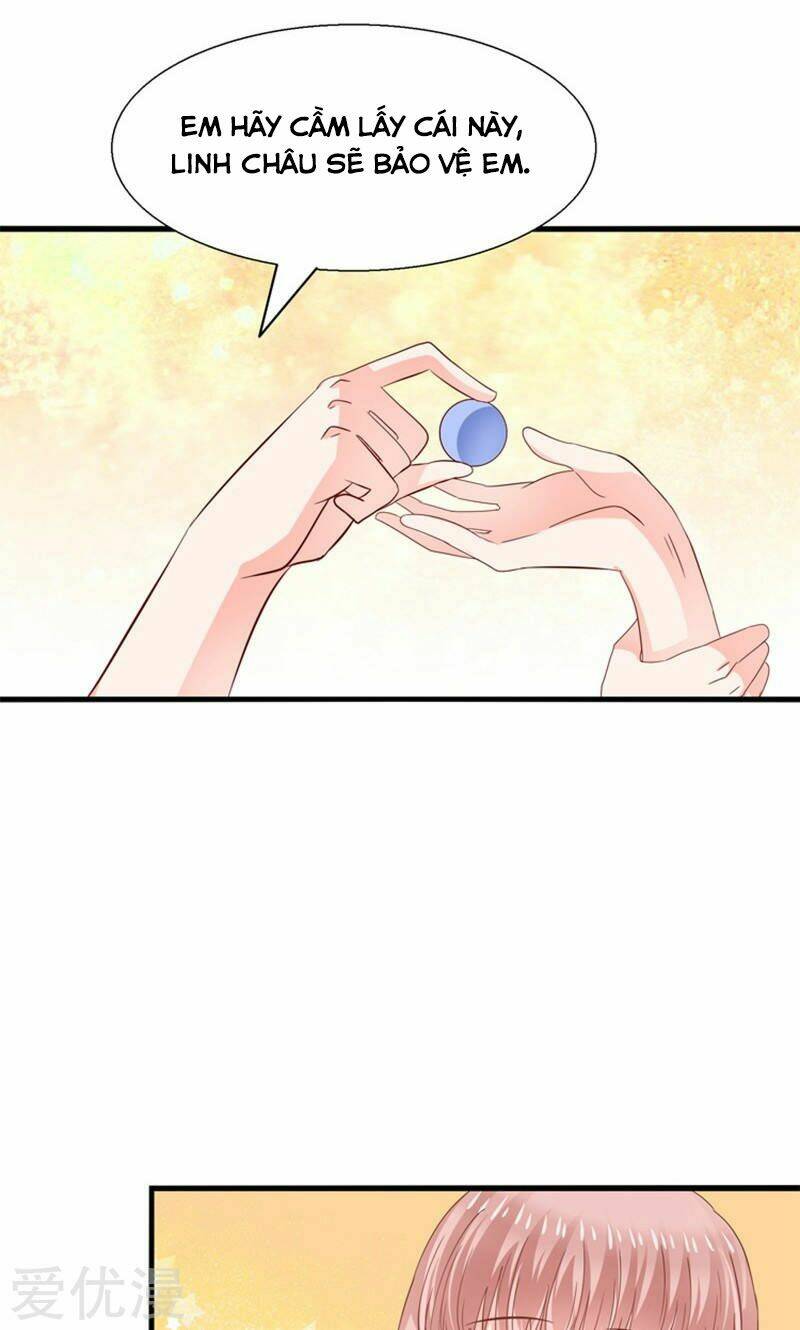 Tôi Bị Gấu Trúc Nhìn Trúng Rồi: Chapter 17