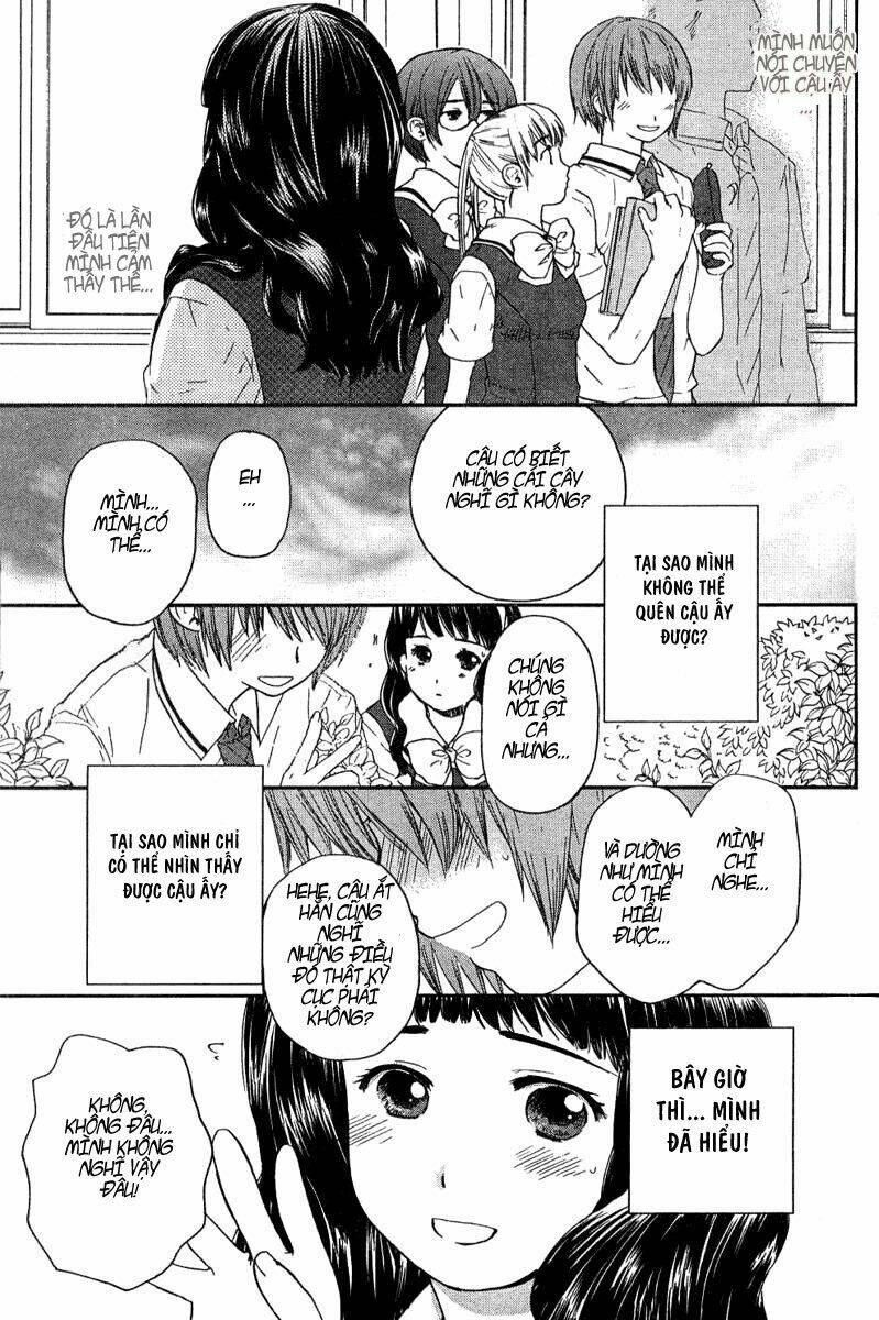 Kashimashi: Chapter 16