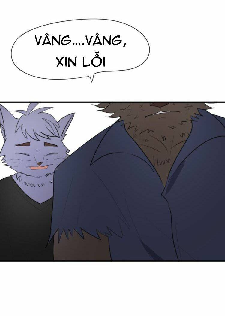 Tiểu Miêu Và Hắc Diệu Thạch: Chapter 8