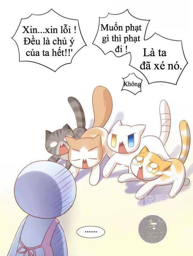 Dưới Móng Vuốt Mèo: Chapter 13
