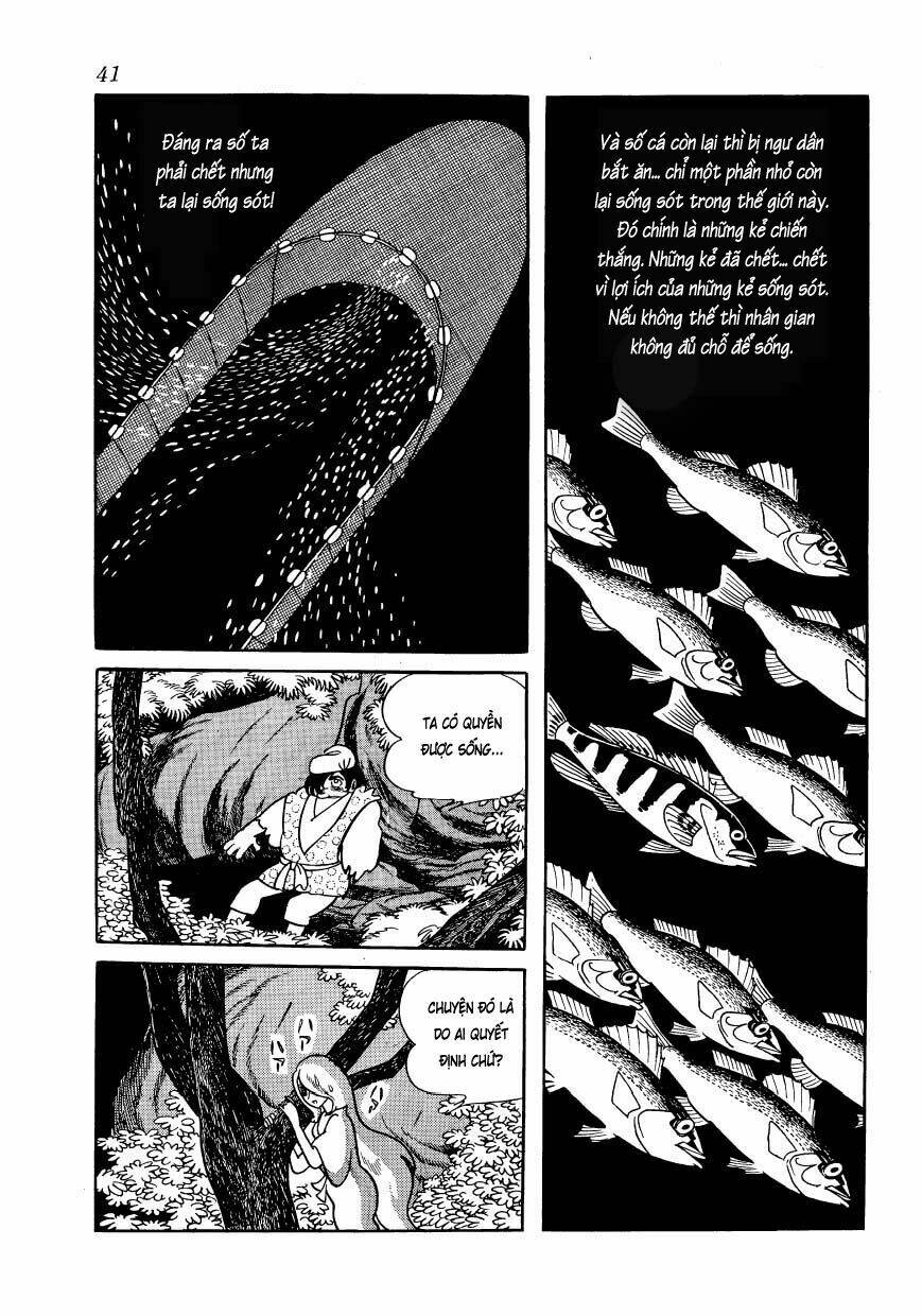 Chim Lửa: Chapter 45