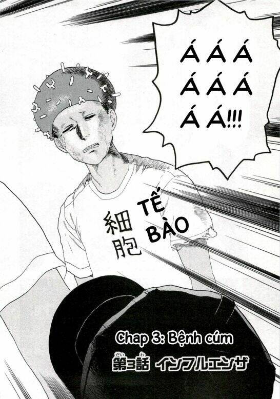 Hataraku Saibou!: Chapter 3
