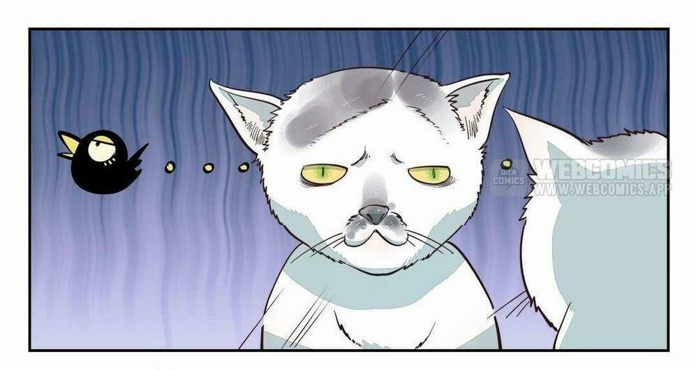 Thời Khắc Ấy, Chúng Ta Gặp Nhau: Chapter 1