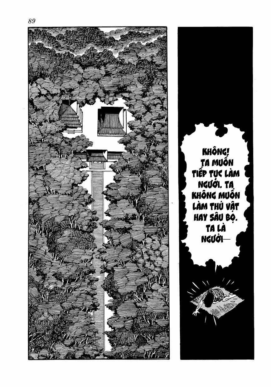 Chim Lửa: Chapter 46