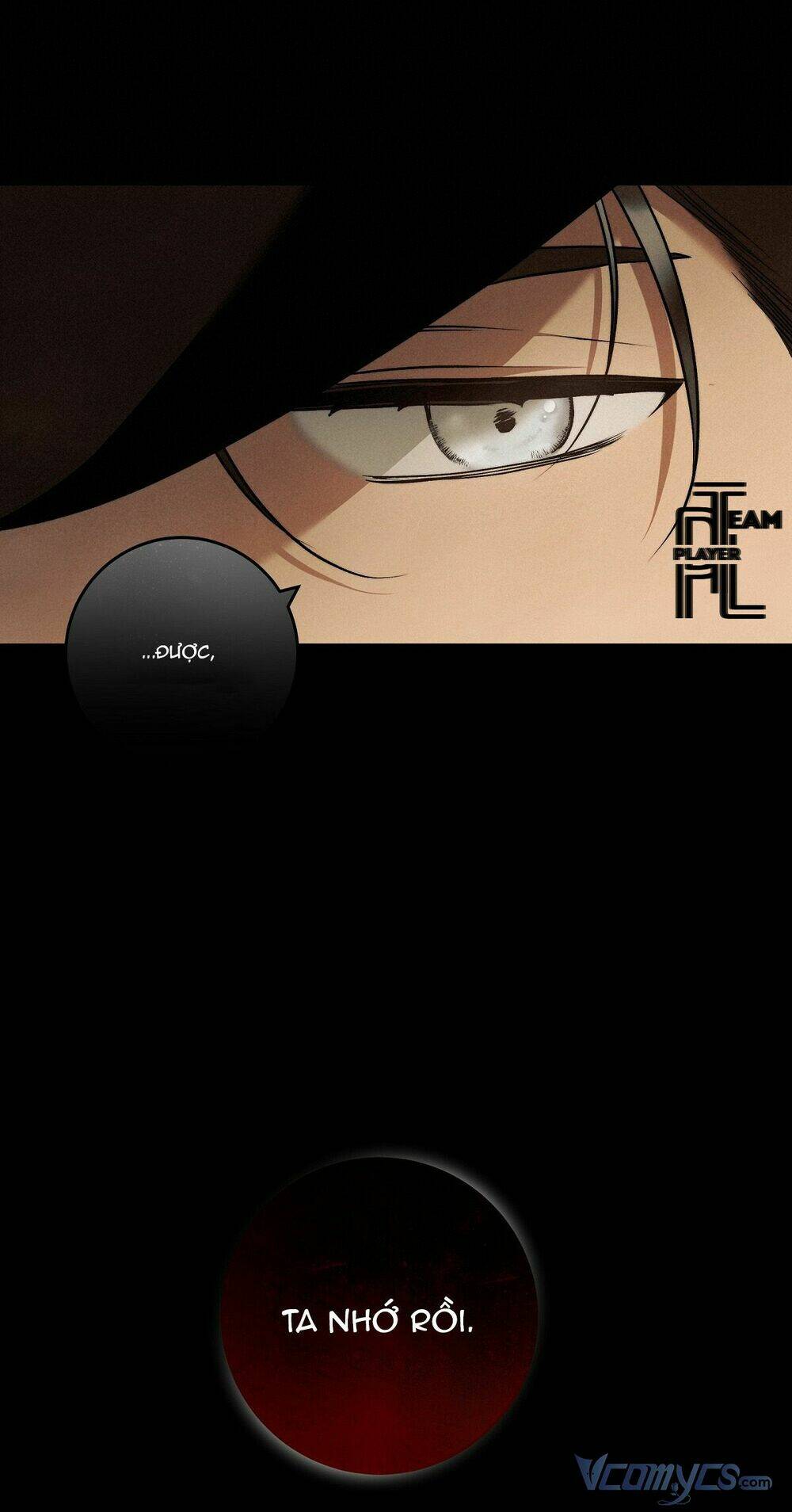 Lời Nói Dối Vĩnh Cửu: Chapter 30