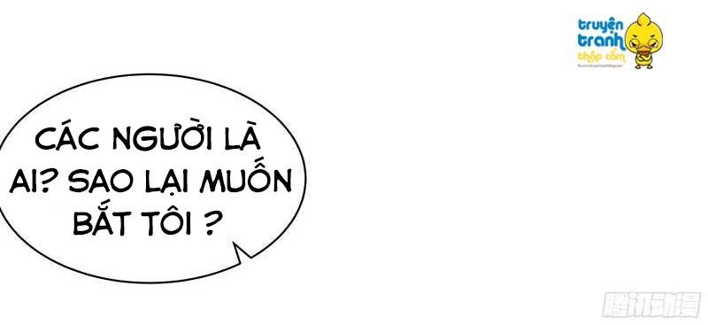 Cường Sủng Hào Môn Tiểu Manh Thê: Chapter 51