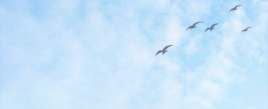 Cửu Hoang Đọa Huyền Sư: Chapter 5