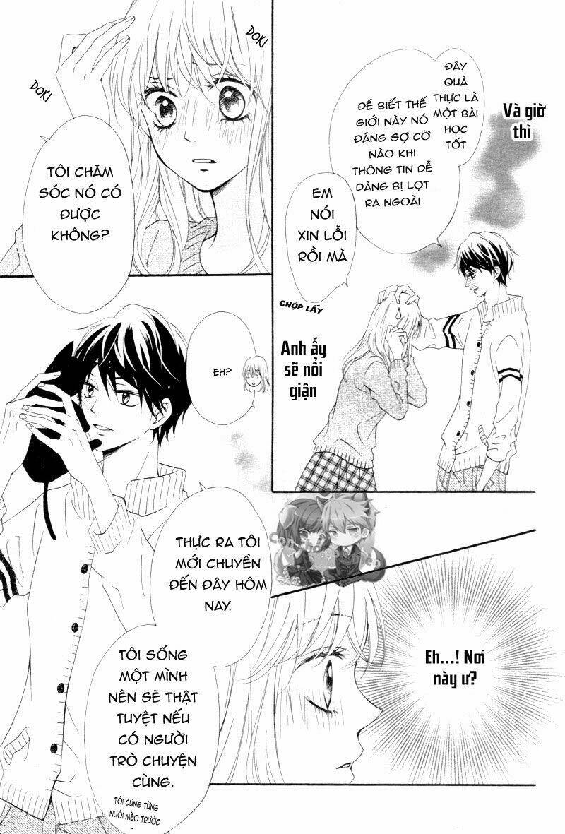 Koi Ni Naranai Wake Ga Nai: Chapter 1