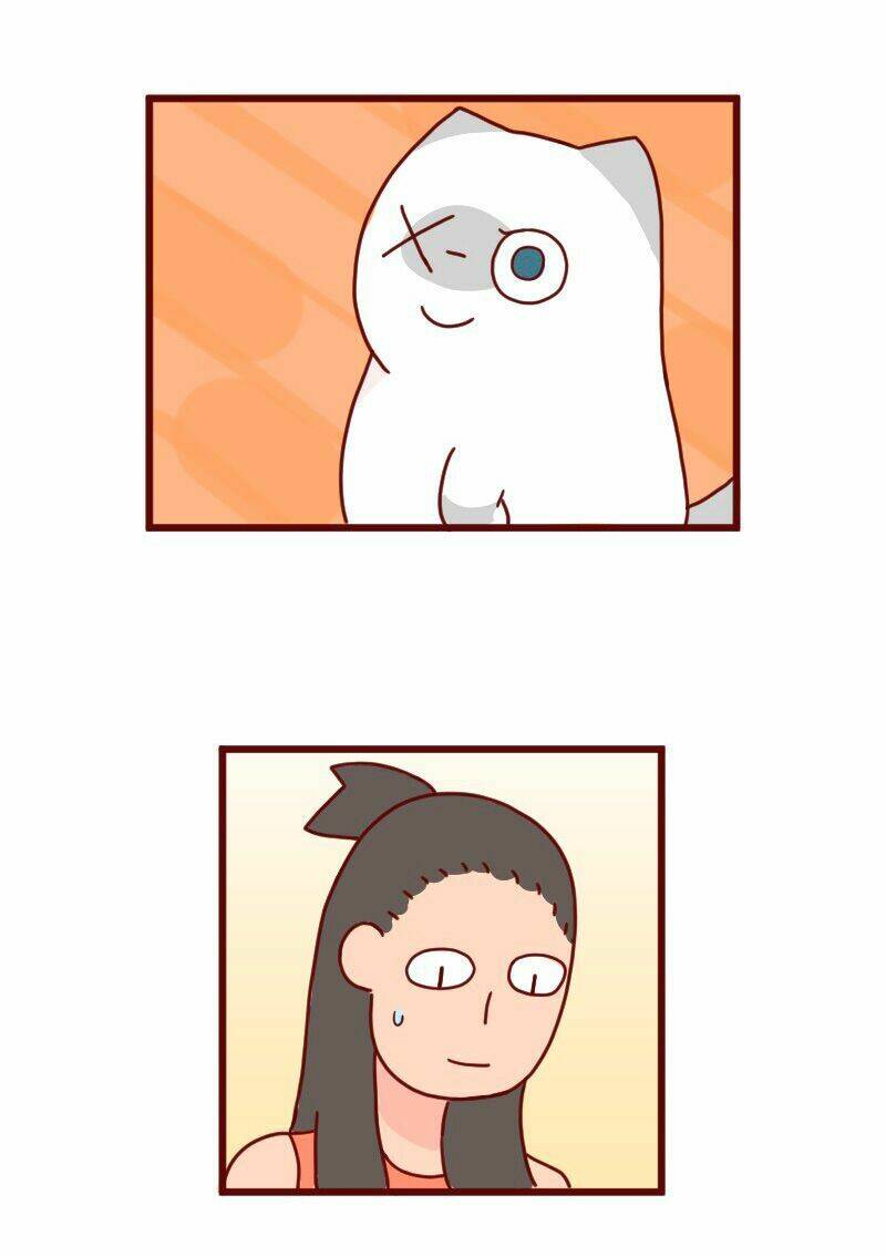 Saphie: Chú mèo một mắt: Chapter 8