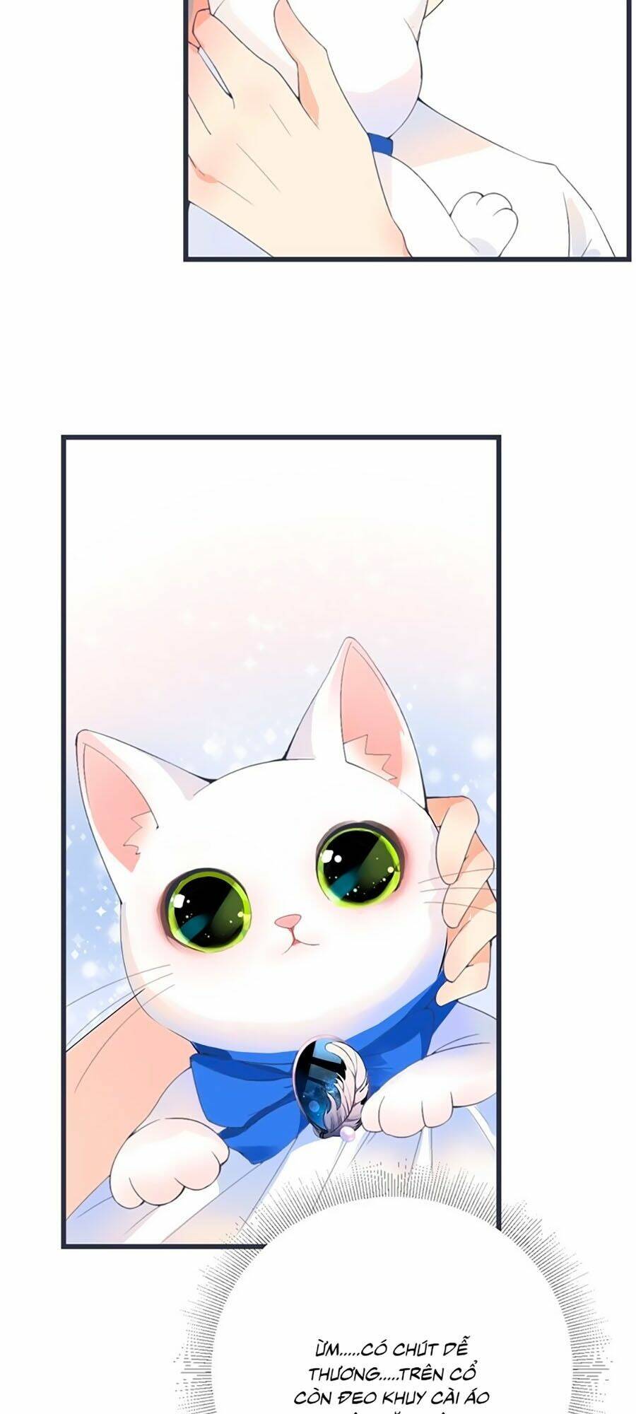 Quang Chi Vũ: Chapter 2.2