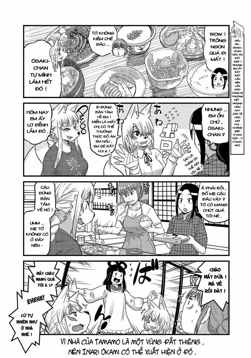 High School Inari Tamamo-Chan: Chapter 19