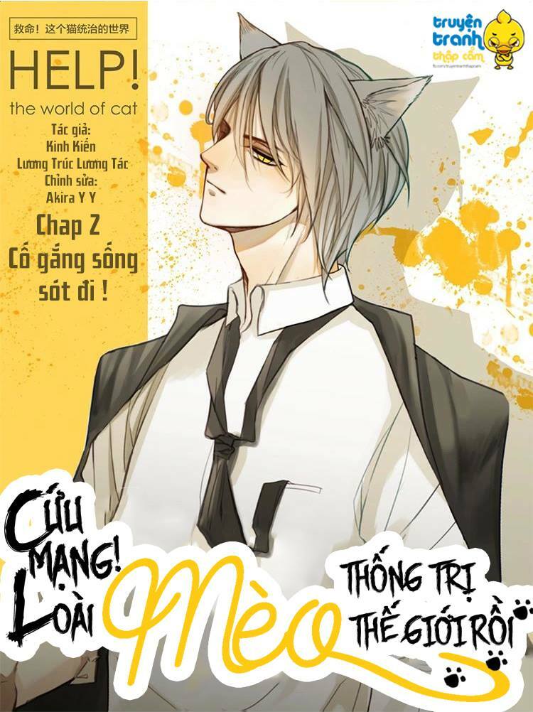 Cứu mạng ! Loài mèo thống trị thế giới rồi !: Chapter 3