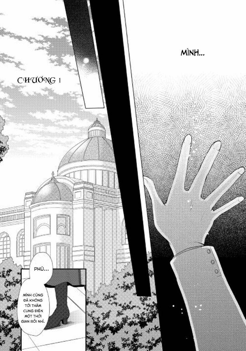 From Maid To Mother: Chapter 1