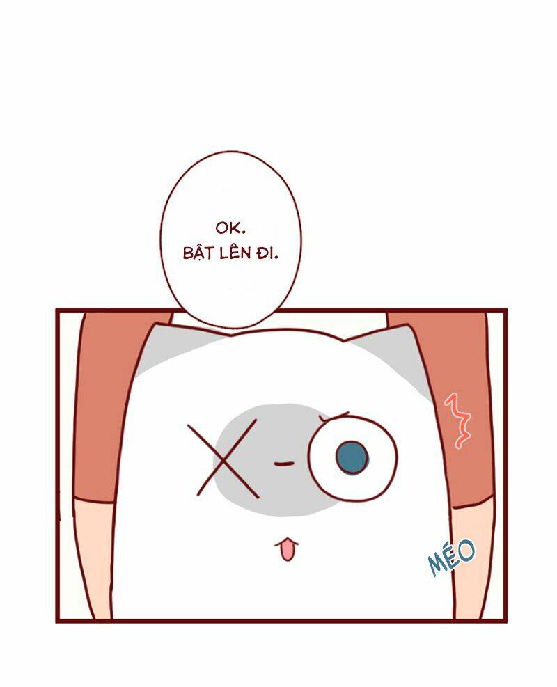 Saphie: Chú mèo một mắt: Chapter 12