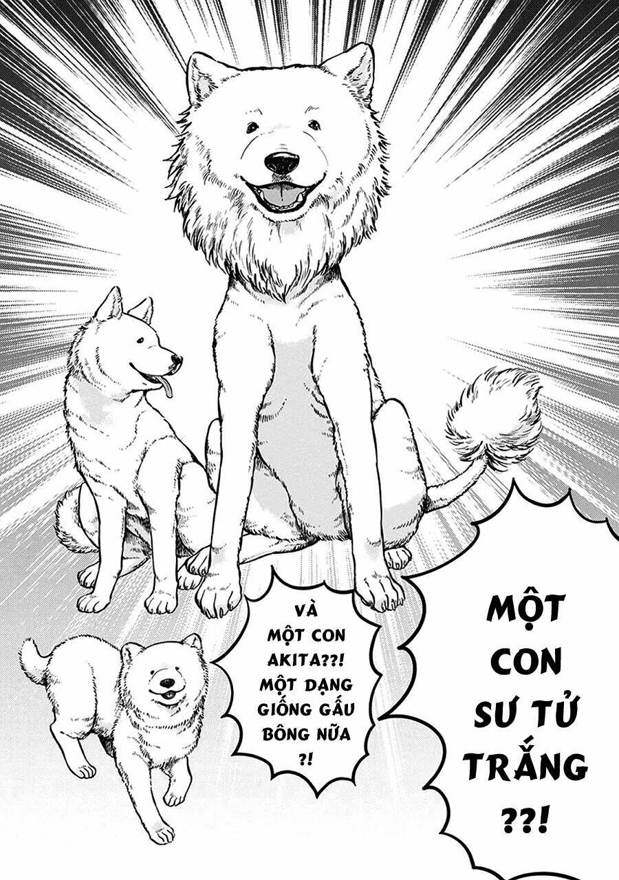 One-Room Wanko: Chapter 1