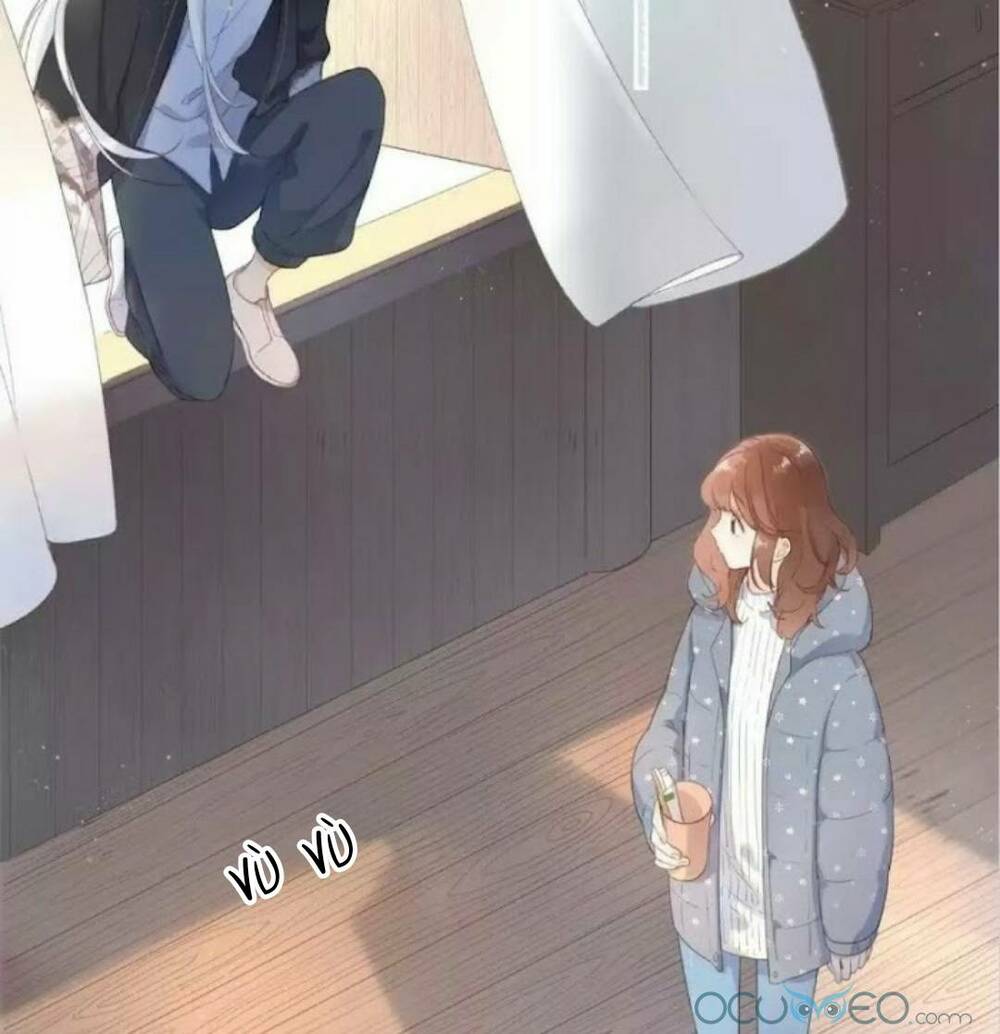 Sos! Tôi Đã Yêu Một Con Sâu Bướm (Phần 2): Chapter 17