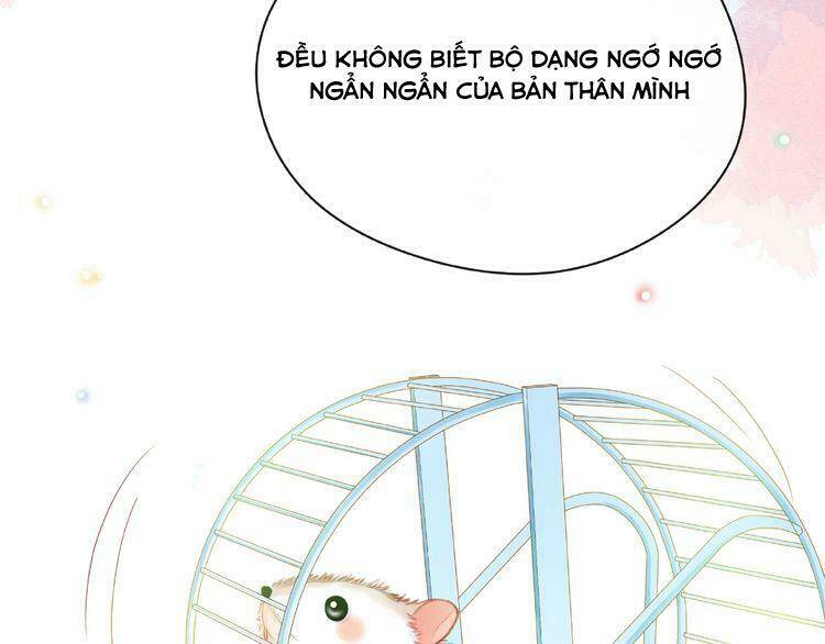Giai Điệu Của Sự Va Chạm: Chapter 50
