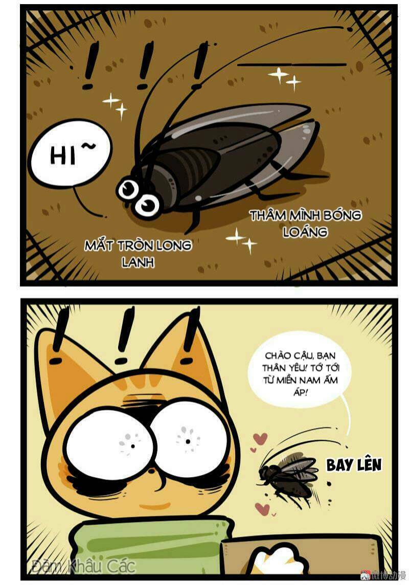 Đời Không Như Mình Tưởng: Chapter 64