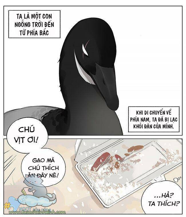 Chim Sẻ Gọi Ngỗng Trời: Chapter 4