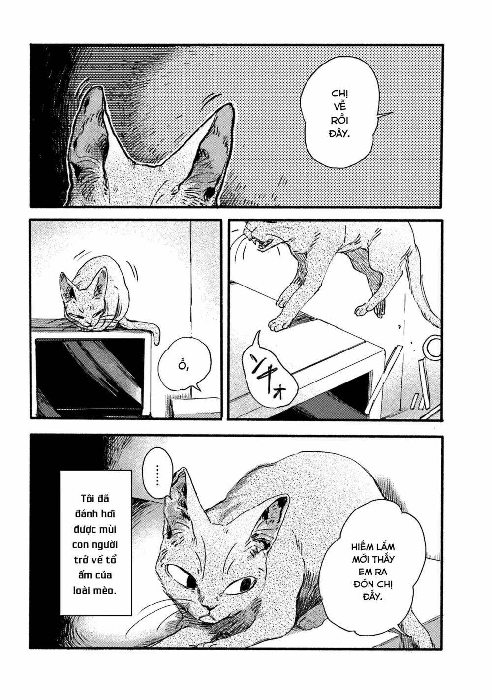 Nekodamari: Chapter 2