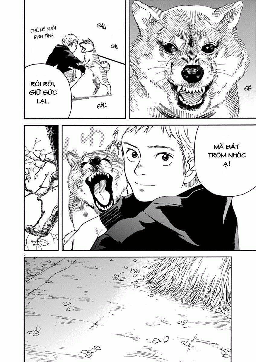 Neko No Otera No Chion-San: Chapter 13