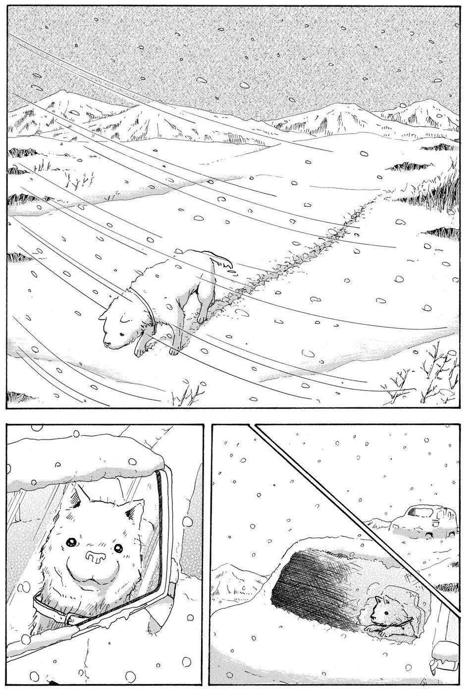 Hoshi Mamoru Inu: Chapter 4