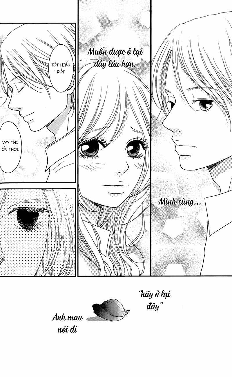 Đóa Hoa Năm Ấy: Chapter 1