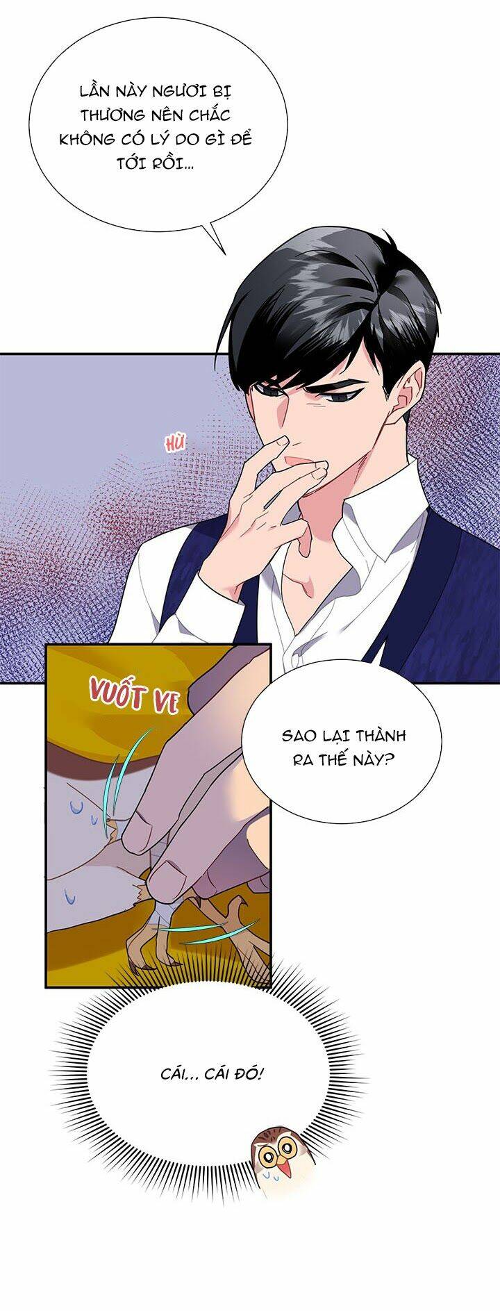 Công Chúa Của Loài Chim: Chapter 16