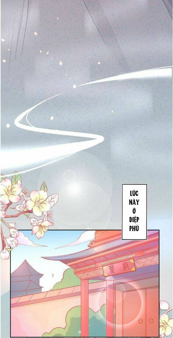 Bổn Vương Phi Có Roi Trong Tay: Chapter 5