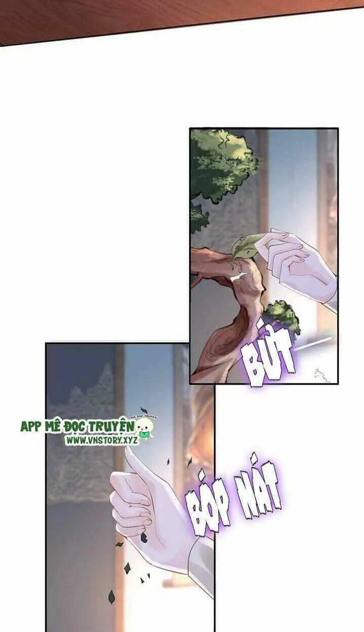 Nhất Sinh Nhất Thế Tiếu Thương Khung: Chapter 47