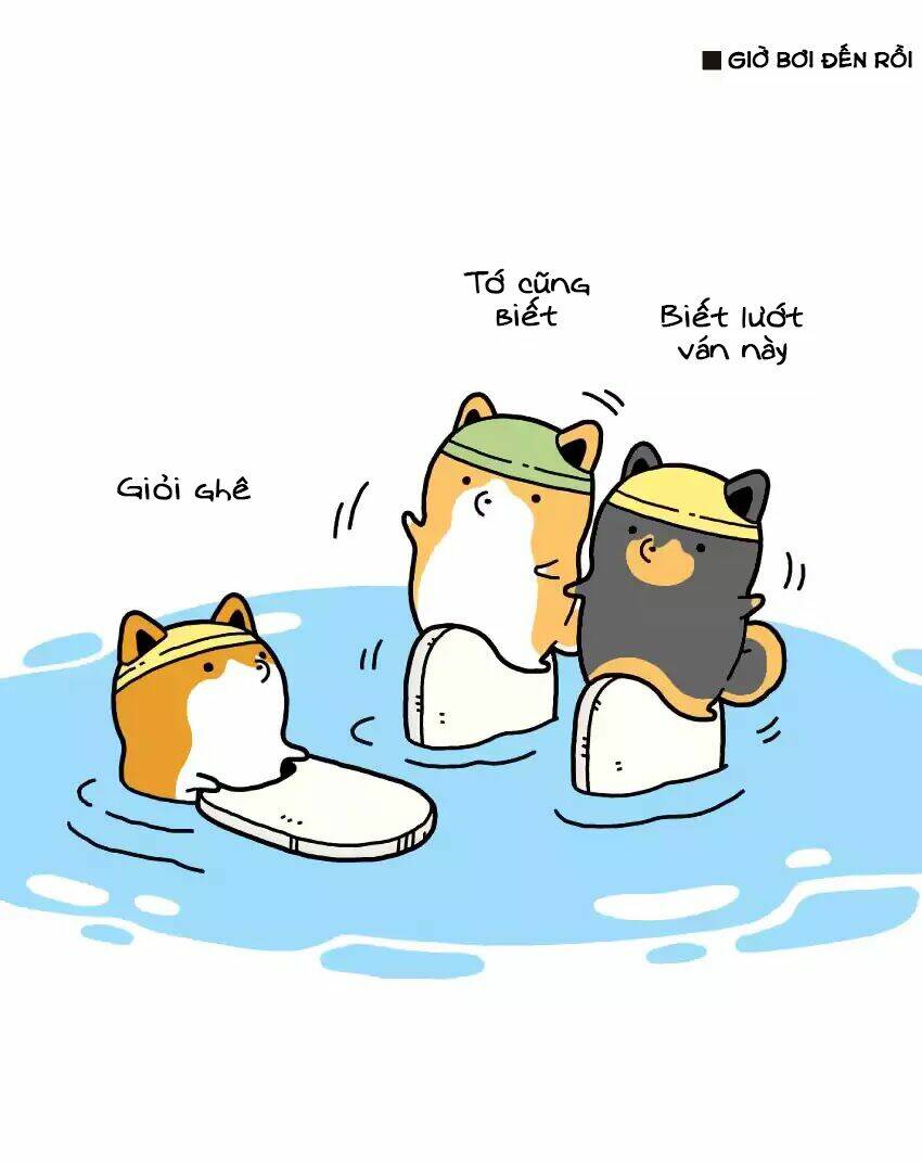 Taru Shiba: Chapter 2