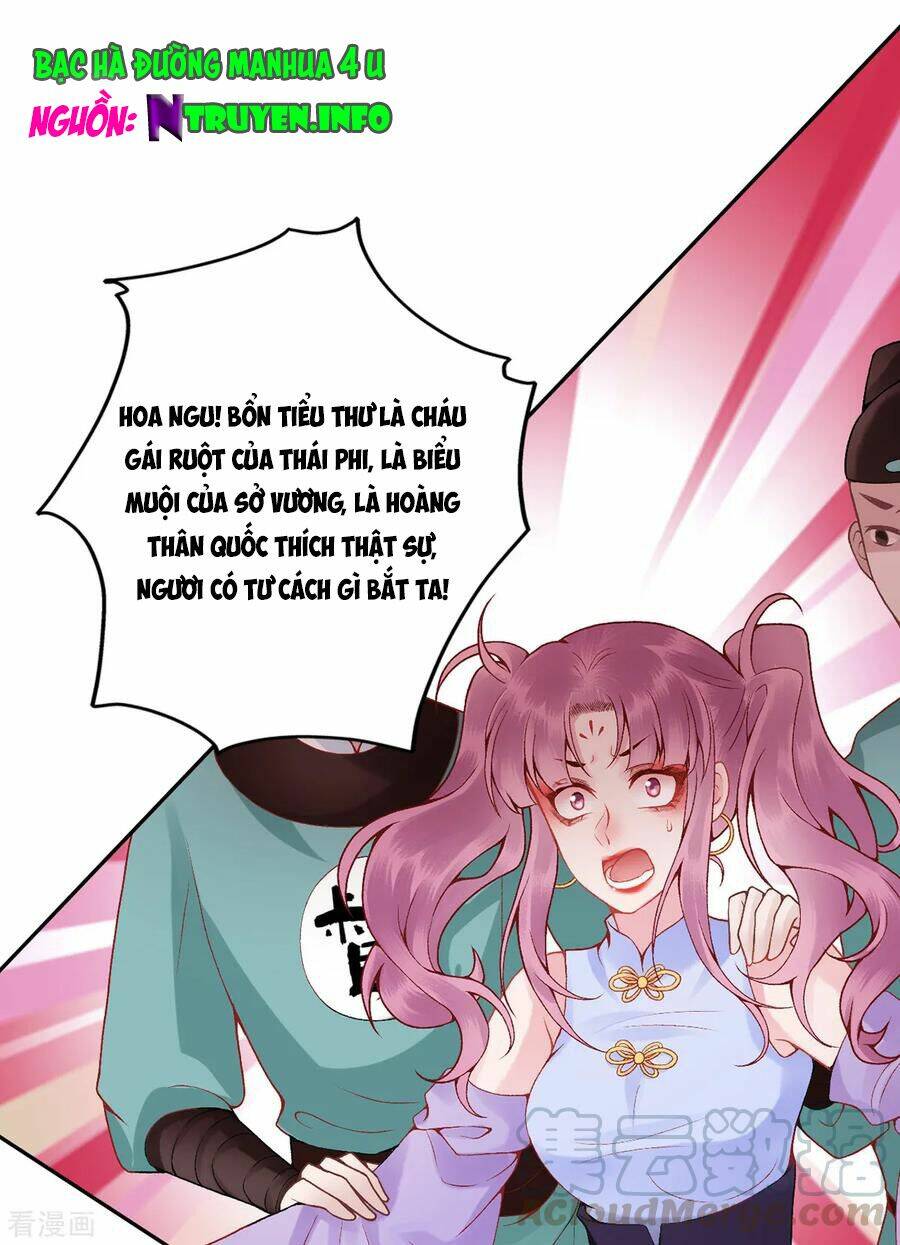 Hoàng Phi 9000 Tuổi: Chapter 84