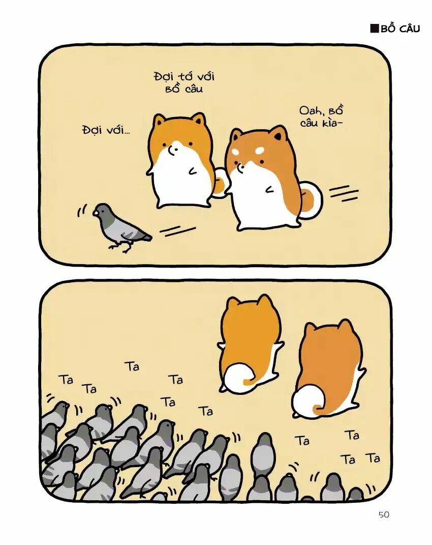 Taru Shiba: Chapter 4