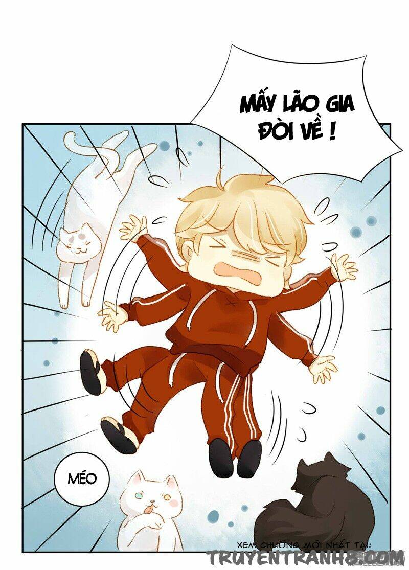 Sức Mạnh Của Sắc Đẹp: Chapter 130