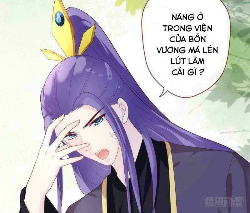 Vương Phi - Âm Động Thiên Hạ: Chapter 31