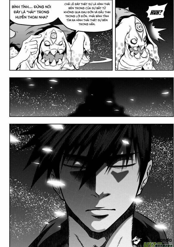 Macrophage Regulation: Chapter 49